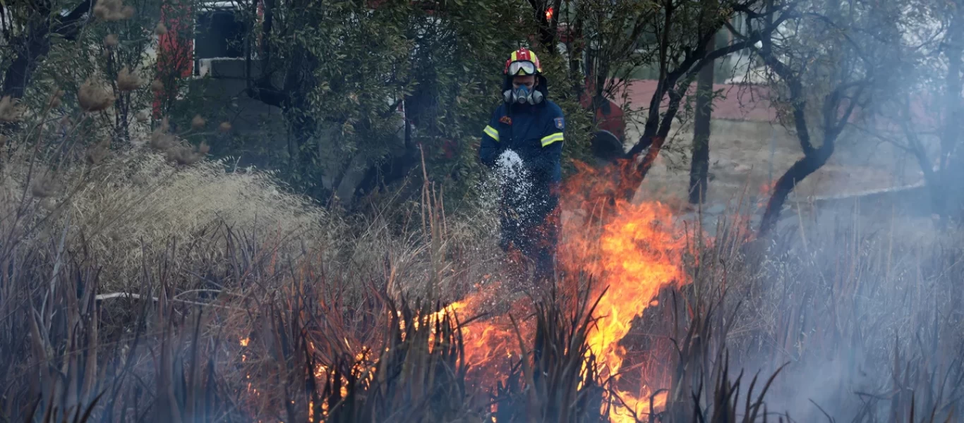 Φωτιά σε δασική έκταση στην περιοχή Αμφιθέα Περάματος Ιωαννίνων